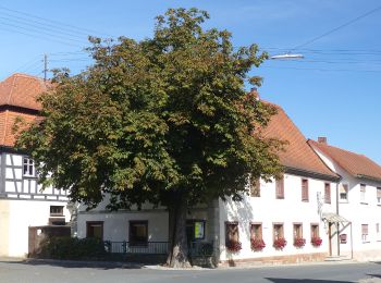 Tour Zu Fuß Eggolsheim - Trailsdorf-Ebermannstadt - Photo