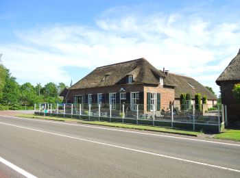 Randonnée A pied Zwolle - WNW IJsseldelta - Wijthmen -rode route - Photo