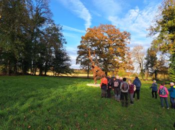 Trail Walking Guichen - pont rean - Photo