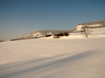 Percorso A piedi Löberschütz - Alter Gleisberg weiss-gelb-weiss - Photo