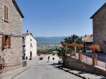 Percorso A piedi Sansepolcro - Via di Francesco - Tappa 4 San Sepolcro-Citerna - Photo