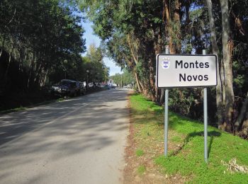 Randonnée A pied Salir - Montes Novos - Photo
