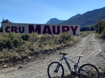 Tocht Mountainbike Maury - 20200913 Maury - Photo