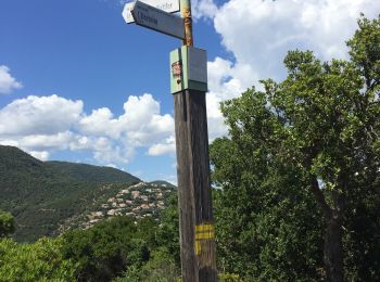 Percorso Marcia Cavalaire-sur-Mer - Calvaire 2  - Photo