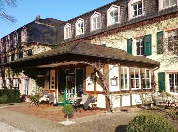 Tour Zu Fuß Bescheid - Osburger Hochwald - Photo