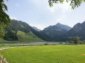 Tocht Te voet Plaffeien - Schwarzsee Bad Seeweid - fixme - Photo