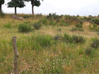 Tocht Wegfiets Saint-Martin-de-Valamas - st martin-de-valamas Saint-Agreve  - Photo