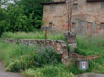 Tocht Stappen Castelfiorentino - CR_Francigena_DB_38_Castelfiorentino_San-Gimignano_20230520 - Photo