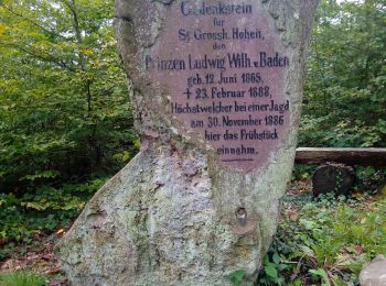 Tour Zu Fuß Neunkirchen - Rundwanderweg Hansenwiese 5: Reihersee-Weg - Photo