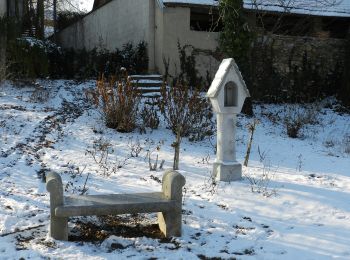 Percorso A piedi Pöllau - Wanderweg 5 - Photo