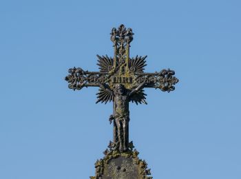 Tocht Te voet Altenbeken - Schwaneyer Panoramaweg - Photo