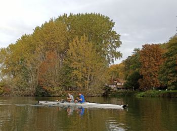 Trail Rowing Poses - aviron - Photo