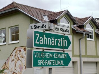 Tour Zu Fuß Gemeinde Kematen an der Ybbs - Schneerosenweg - Photo