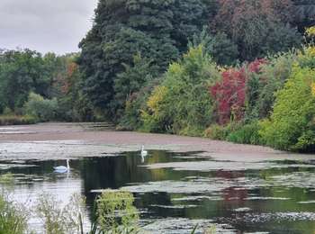 Tour Zu Fuß Oupeye - la Gravière de Hermalle sous Argenteau - Photo