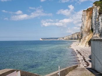 Tour Wandern Vattetot-sur-Mer - vattetot - yport - Photo