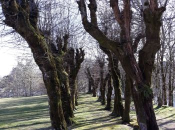 Trail Walking Clergoux - balade avec Claudette et Viviane  - Photo