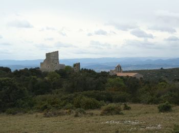 Randonnée A pied Aumelas - Château d'Aumelas - Photo