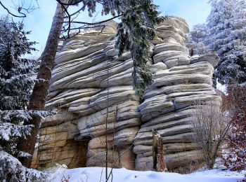 Excursión A pie Weißenstadt - Rundwanderweg Weißenstadt Nr. 3 - Photo