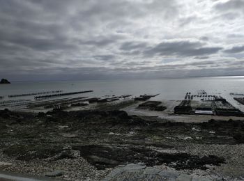 Tocht Stappen Cancale - 2024-03-19 boucle Cancale  - Photo