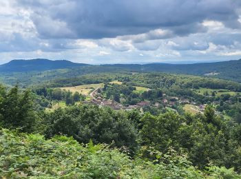 Tocht Stappen Belverne - Belverne - grotte des prisonniers allemands - Etobon - Photo