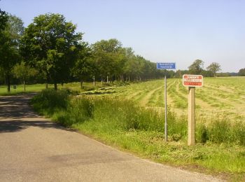 Randonnée A pied Hellendoorn - WNW Twente - Hulsen/Wierdenseveld - gele route - Photo