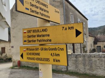 Randonnée Marche Arcenant - Sentiers patrimoine et Marianne : Arcennant - Photo