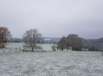 Trail Walking Sprimont - Banneux - Photo