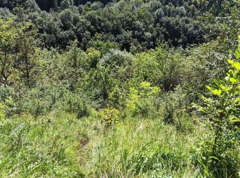 Trail Walking Villard-Saint-Sauveur - cascade de flumen - saut du chien - retour en partie par la route  - Photo