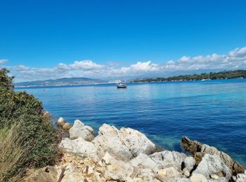 Trail Walking Cannes - z St honorat 07-05-24 - Photo