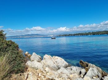 Tour Wandern Cannes - z St honorat 07-05-24 - Photo