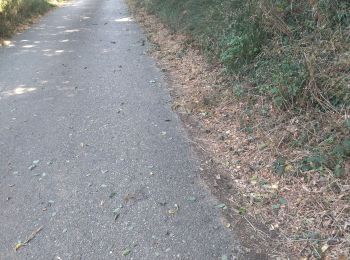 Randonnée Vélo de route Romans-sur-Isère - 26 plle valence tain vv - Photo