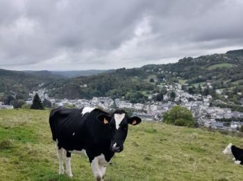 Tour Wandern La Bourboule - La Bourboule - Roche de Vendée- Rocher de l Aigle - Photo