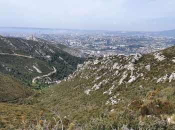 Trail Walking Marseille - Le Mont St Cyr par la Barasse  - Photo