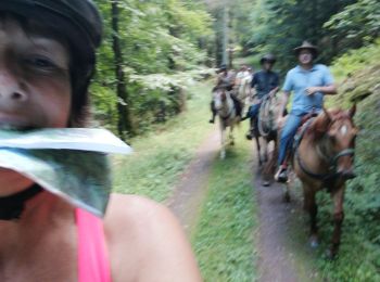 Trail Horseback riding Ban-de-Sapt - equiplaine à la fontenelle  - Photo