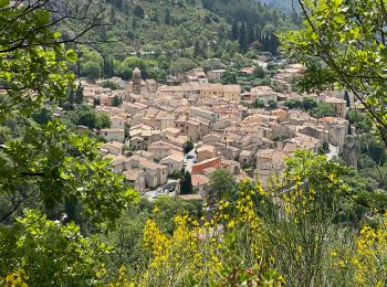 Tocht Stappen Moustiers-Sainte-Marie - Moustiers Castillon 13,1 km - Photo