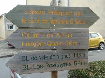 Percorso A piedi Toulenne - Les Pescayres : boucle locale - Photo
