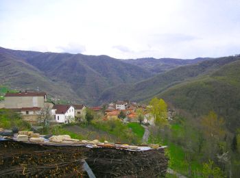 Percorso A piedi Farini - Percorso 151 - Rifugio OTP/GEA - Aglio - Colla - Photo