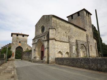 Randonnée A pied Barbaste - La Randonnée des Bastides et Châteaux en Albret - 21.4 km - Photo