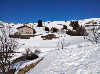 Trail Snowshoes La Plagne-Tarentaise - parcours des hameaux - Photo