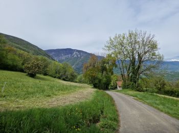 Excursión Senderismo Chevrier - Mont Vuache - Photo