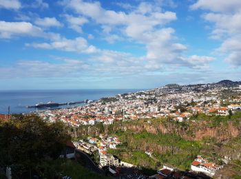 Tour Wandern Funchal (Santa Maria Maior) - Monte par le Levada do Bom Sucesso (Rother n°2 inversé) - Photo