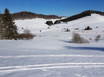 Excursión Raquetas de nieve La Pesse - L'embossieux-la Pourvoirie - Photo