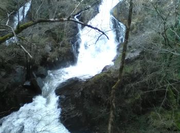 Randonnée A pied Forgès - La cascade de Murel - Photo