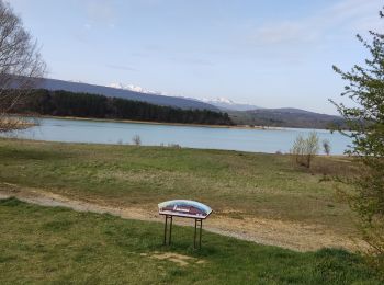 Tocht Stappen Montbel - tour du lac Montbel - Photo