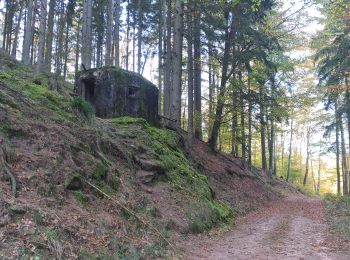 Tocht Stappen Windstein - Rando Maginot Windstein - Photo