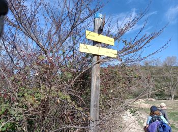 Trail Walking Aureille - les Alpilles d aureille - Photo