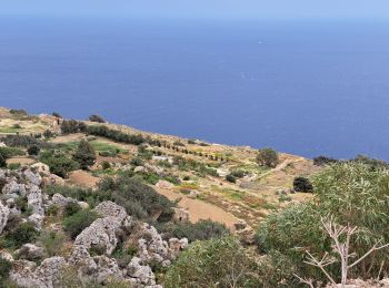 Tocht Stappen Ħad-Dingli - MALTE 2024 / 01 Dingly's Cliffs - Photo