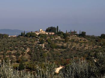 Randonnée A pied San Casciano in Val di Pesa - IT-SC6 - Photo