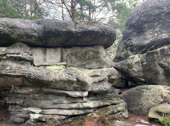 Trail Walking Arbonne-la-Forêt - Forêt de Fontainebleau Tour de la Vierge et Le Hurlevent - Photo