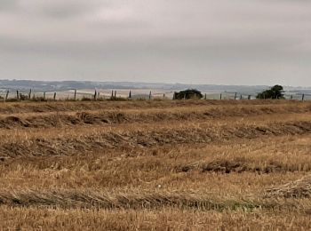 Randonnée Marche Vincly - Les hauts de VINCLY  - Photo